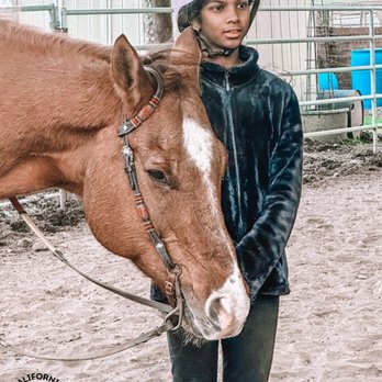 CA Horse & Pony - Private riding lessons! - Horseback Riding Near Me - Lathrop, California CA Horse & Pony - Private riding lessons! - Horseback Riding Near Me - Lathrop, California