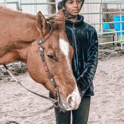 CA Horse & Pony - Private riding lessons!