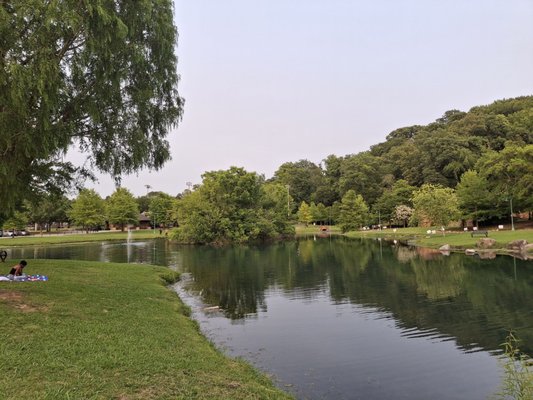 Avondale Park by null