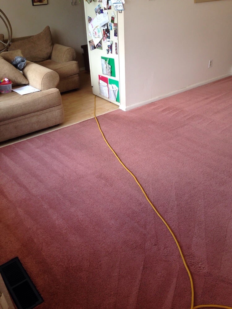 LIVE BY THE BRUSH Updated September 2024 491 Plaza Blvd