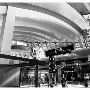 1. LAX Terminal 8