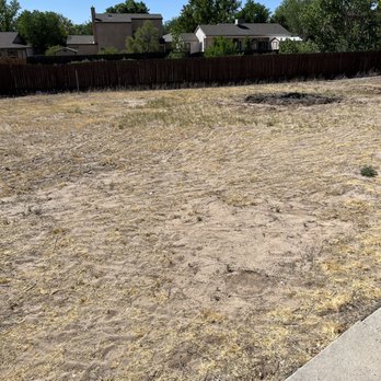 Alpha1 Sprinklers - Before 3 - An empty lot with sparse, dry grass and exposed dirt, enclosed by a wooden fence, with residential houses and trees in the background. - Irrigation Near Me - Albuquerque, New Mexico