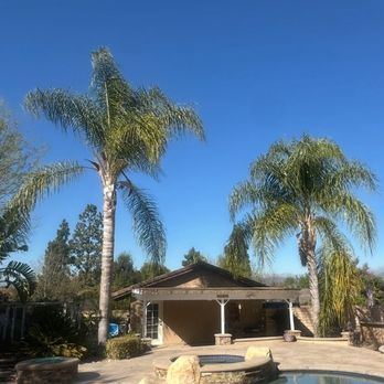 Jaime Jr Tree Service - Before.. - Tree Services Near Me Jaime Jr Tree Service - Before.. - Tree Services Near Me