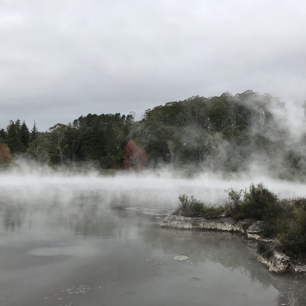 Whakarewarewa - Tours Near Me - Rotorua, BOP