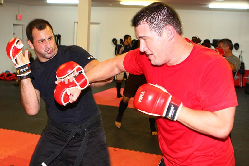 Alchemy Martial Arts and Fitness of Setauket Logo