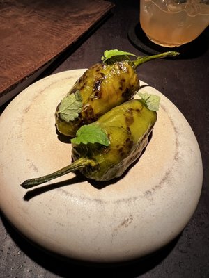 Pramerl and the Wolf by null