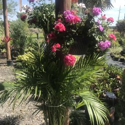 Gardens Wholesale Nursery