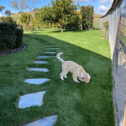 Central Coast Synthetic Turf