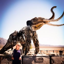 Ice Age Fossils State Park - Art Mammoth style .