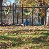 Cazenovia Park gift card