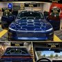 Lion Window Tinting
