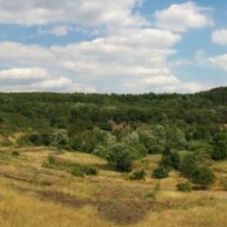 Weltkulturerbe Grube Messel