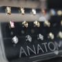 Photo of Royal Stone Piercing
