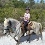 Photo of Equestrian Adventures