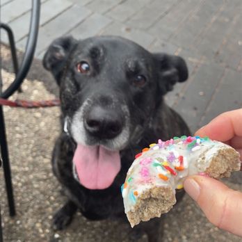 Parlor Doughnuts - Donuts Near Me - Fort Walton Beach, Florida