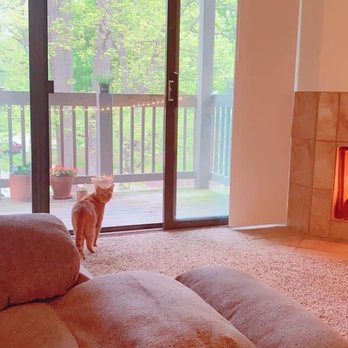 Windsor on the River - Kitty loves it here too. - Apartments Near Me - Cedar Rapids, Iowa