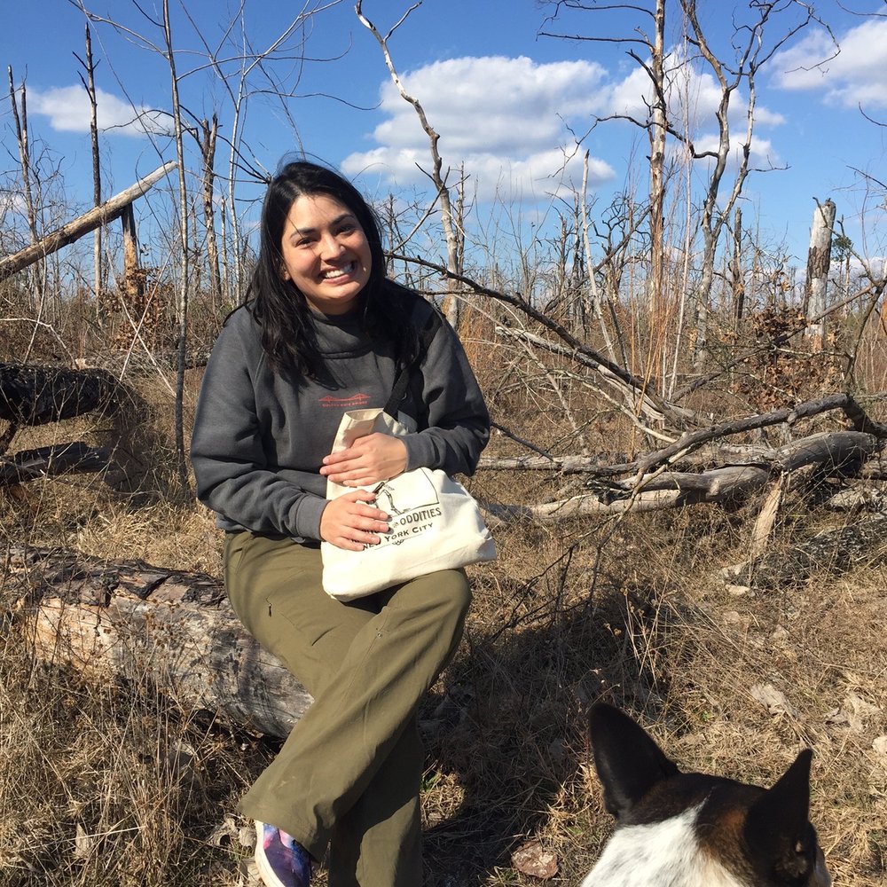 Bastrop State Park - Parks Near Me - Bastrop, Texas