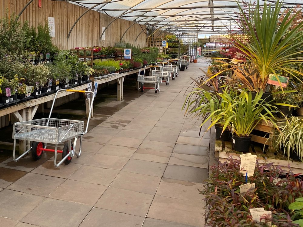 PAVILION GARDEN CENTRE Updated September 2024 15 Photos