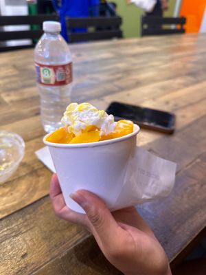 Snow Ball Rice Ball by null