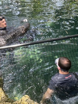 Everglades Outpost by null