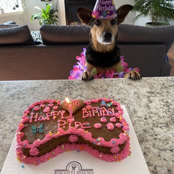 Biscotti Hound Dog Biscuit Bakery - Pet Stores Near Me - Denver, Colorado