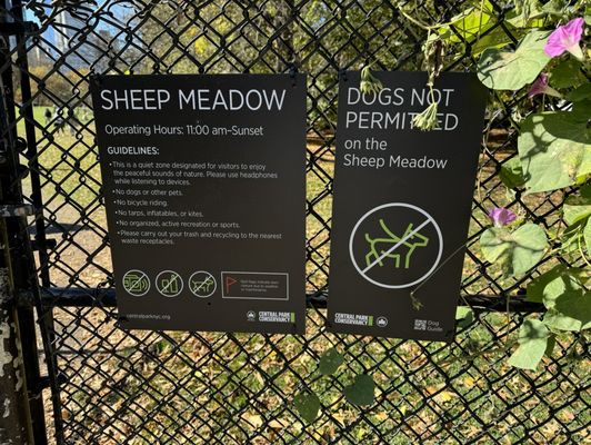 Sheep Meadow by null