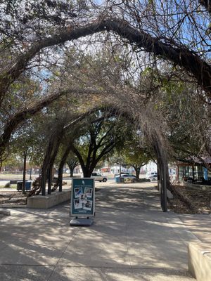 Hemisfair by null