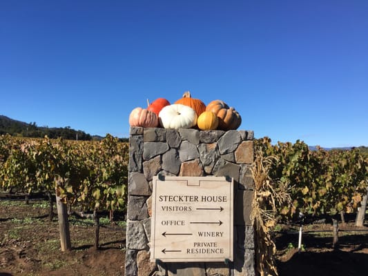 Staglin Family Vineyard by null