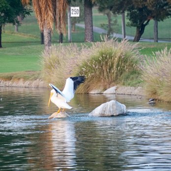 Almansor Park - Pics were taken using the Sony a6300 mirrorless interchangeable lens camera (MILC) - Parks Near Me - Alhambra, California Almansor Park - Pics were taken using the Sony a6300 mirrorless interchangeable lens camera (MILC) - Parks Near Me - Alhambra, California