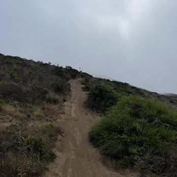 Gray Whale Cove State Beach - Up n up - Beaches Near Me - Half Moon Bay, California