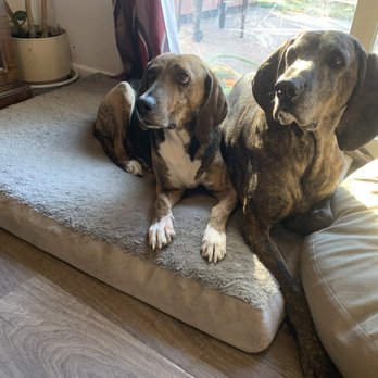Ponderosa Veterinary Clinic - Veterinarians Near Me - Yreka, California
