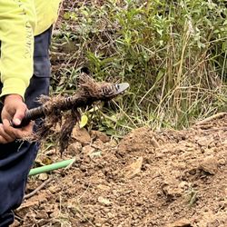 Kaleb’s Kustom Plumbing