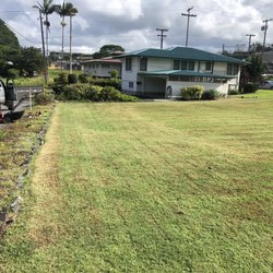 Prime Lawn Care - FRESH AND CLEAN GRASS