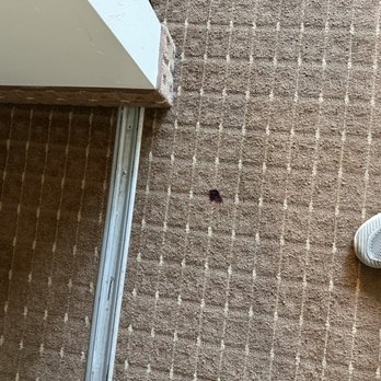Chicago South Loop Hotel - Blood on carpet - Hotels Near Me - Chicago, Illinois Chicago South Loop Hotel - Blood on carpet - Hotels Near Me - Chicago, Illinois