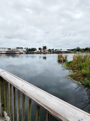 Barefoot Landing by null