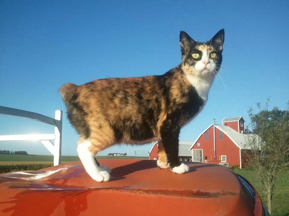 Slide of Hillcrest Farm Handyman Services