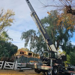 Your Way Tree Service