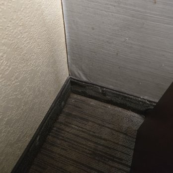 DoubleTree by Hilton Hotel Rocky Mount - Dirty - Hotels Near Me - Rocky Mount, North Carolina DoubleTree by Hilton Hotel Rocky Mount - Dirty - Hotels Near Me - Rocky Mount, North Carolina