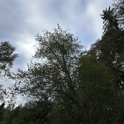 The Woodsman Selection