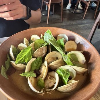 Tonino - Clams - Italian Near Me - Jamaica Plain, Massachusetts Tonino - Clams - Italian Near Me - Jamaica Plain, Massachusetts