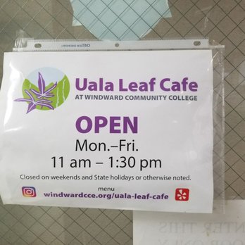 Uala Leaf Cafe - Hours of operation - Soup Near Me - Kaneohe, Hawaii Uala Leaf Cafe - Hours of operation - Soup Near Me - Kaneohe, Hawaii
