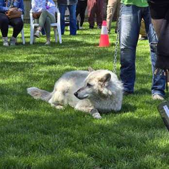 Big Run Wolf Ranch - Education Near Me - Lockport, Illinois