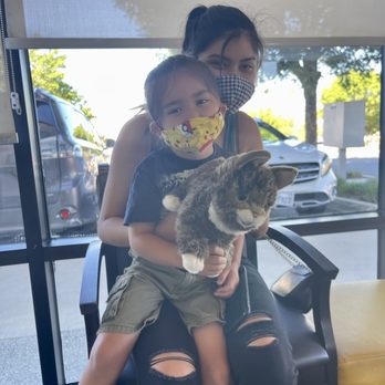 My Kid's Dentist - Pediatric Dentists Near Me - Murrieta, California My Kid's Dentist - Pediatric Dentists Near Me - Murrieta, California
