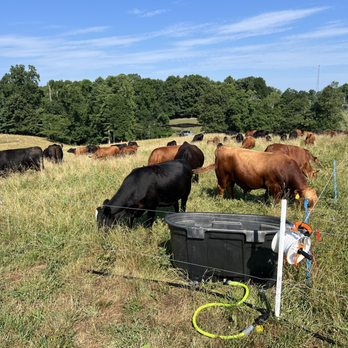 1. Smith Family Pastures