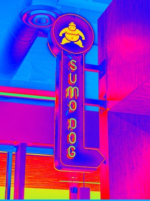 Sumo Dog by null