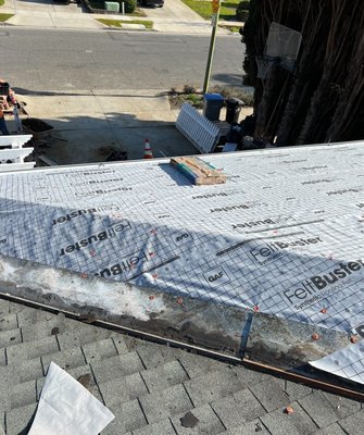 Pro Gutters cleaning and roofing