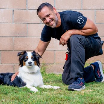 Dog Fit LA - Pet Training Near Me