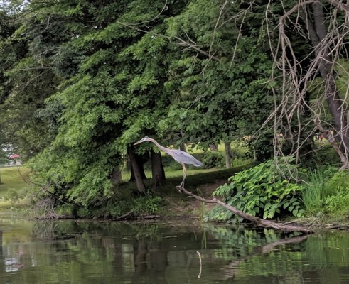 Kayak Pittsburgh North Park by null