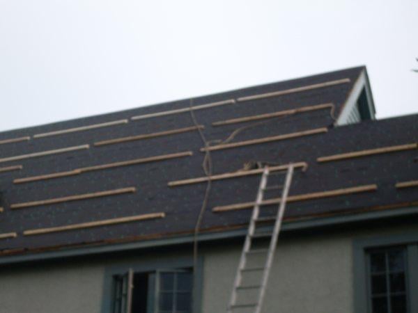 Slide of Pat Lynch Construction