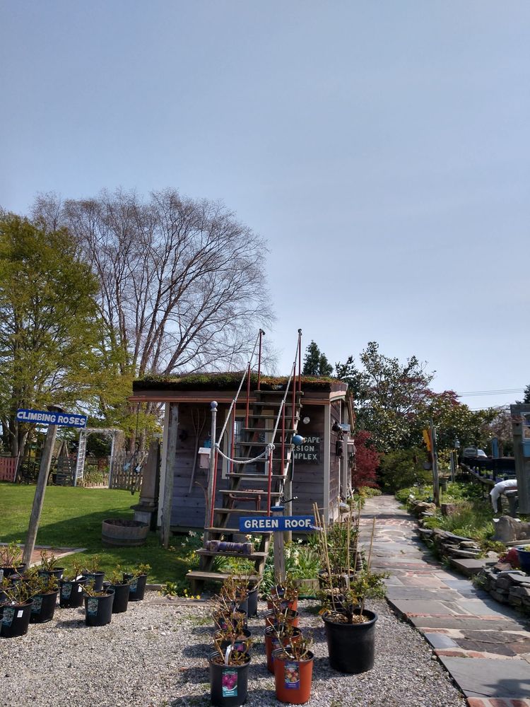 TRIMBLE’S OF CORCHAUG NURSERY Updated October 2024 17 Photos